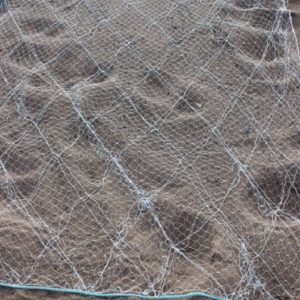 Trammel Nets
