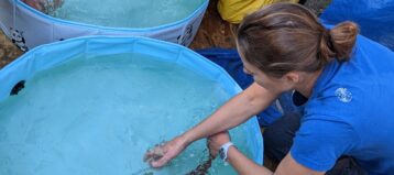 Opportunities for Fish Physiologists image