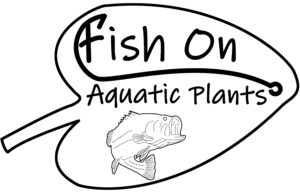 Fish On Aquatic Plants